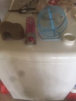 Hamster access for sale