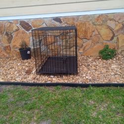 Dog Cage 