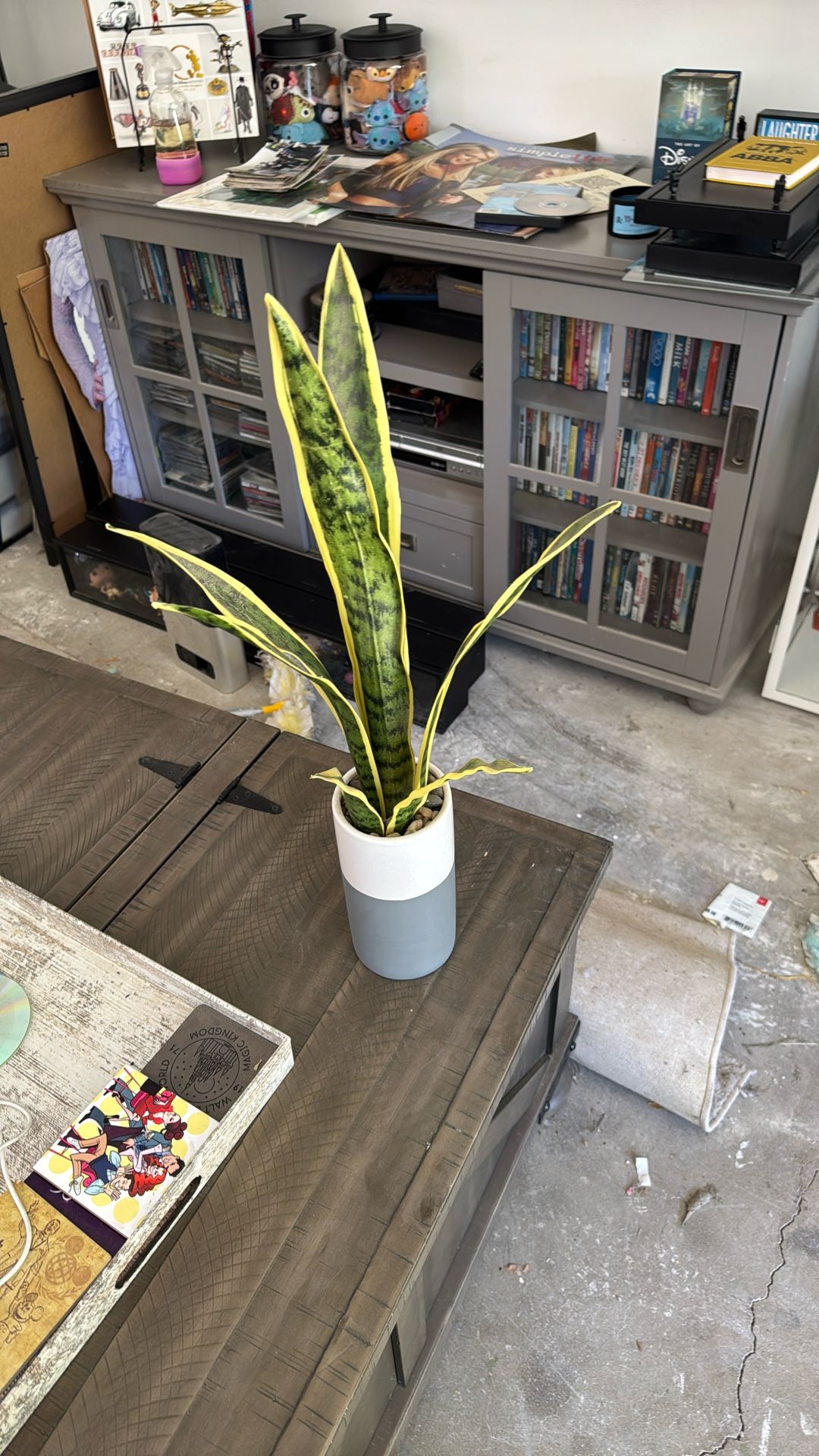 Artificial Snake Plant