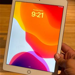 iPad Pro 1st Generation Cellular 9.7”