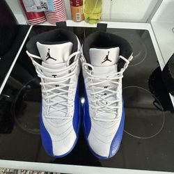 jordan 12 blueberry