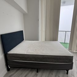 Queen Bed & Mattress — Clean — Must Go by Monday — $150