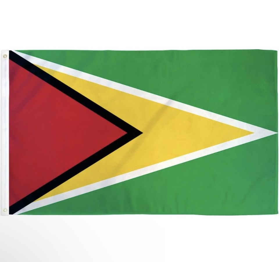 Guyana Flags 3x5