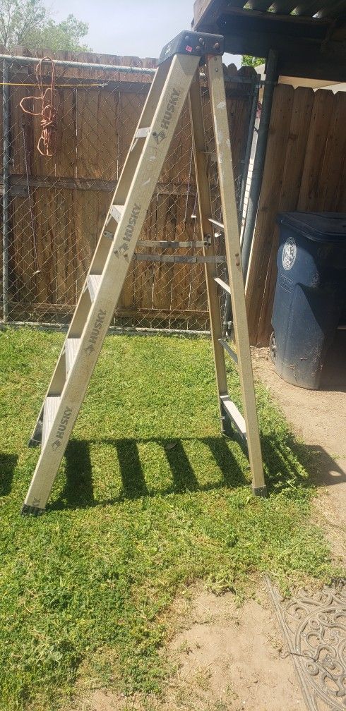 6ft Werner Ladder