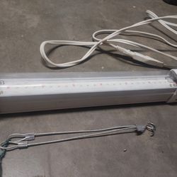 Feit Electric Grow Lamp  120v Lumens 1200lm