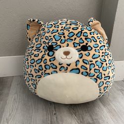 Squishmallow Cat