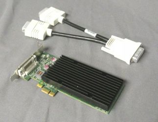 PNY video card Nvidia NVS300