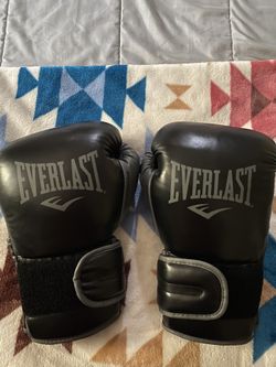 Everlast Boxing Gloves