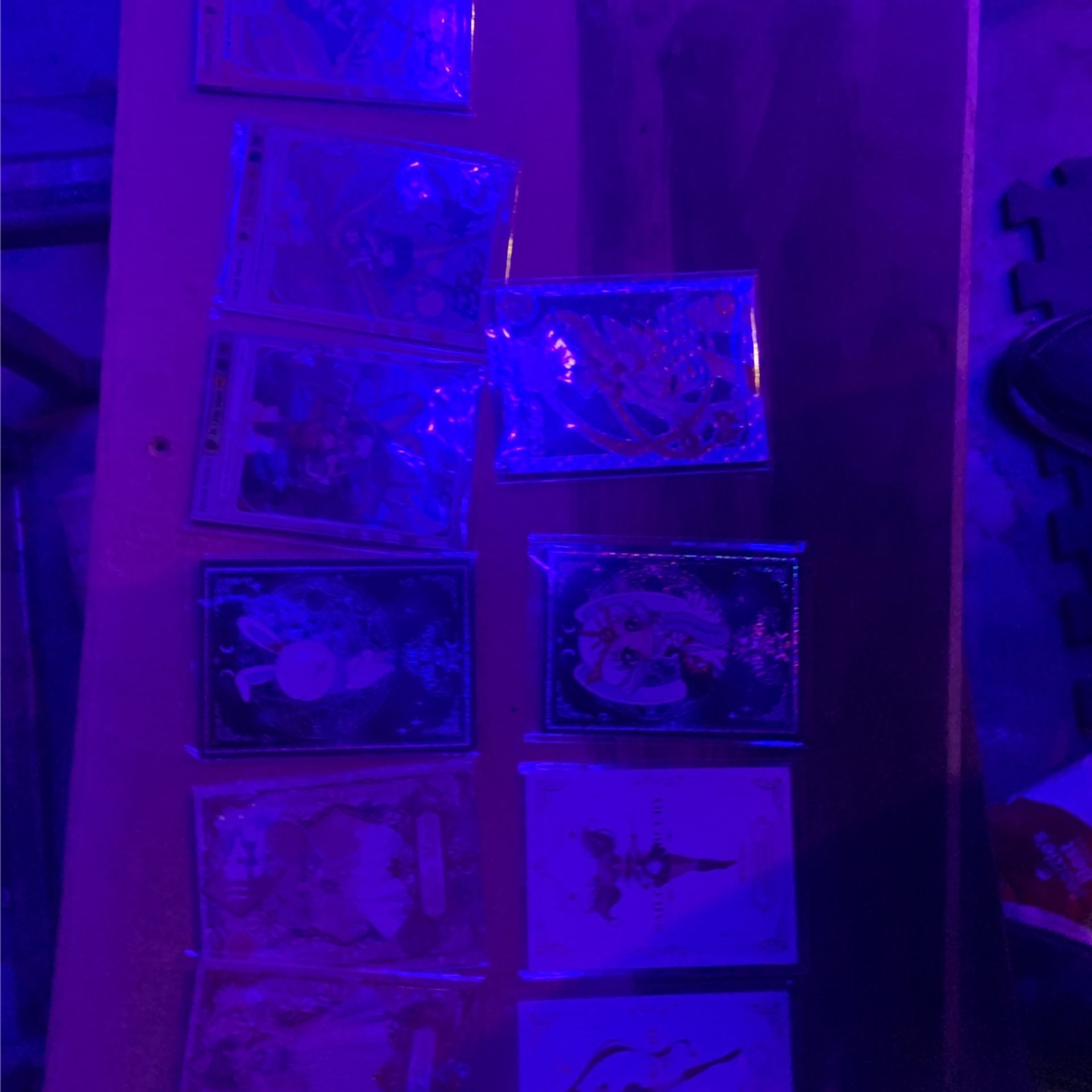Sailor Moon cards