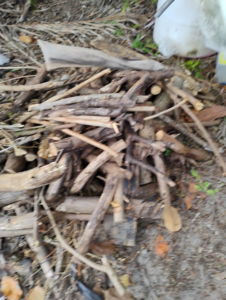 5 Gallon  Bucket Full 5 dollar 5o Gallon  40 Dollar 