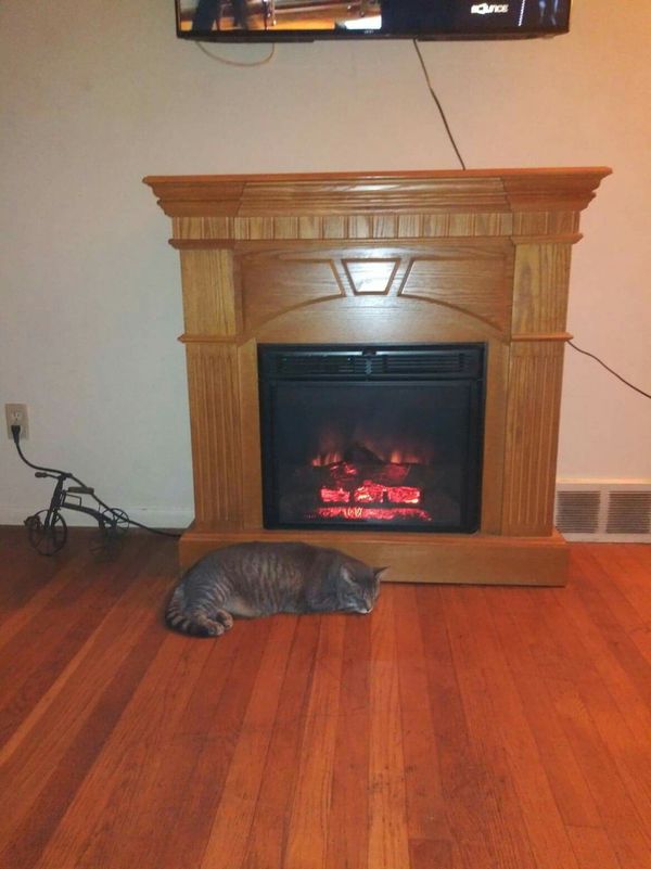Electric fireplace heater for Sale in Lexington, KY OfferUp