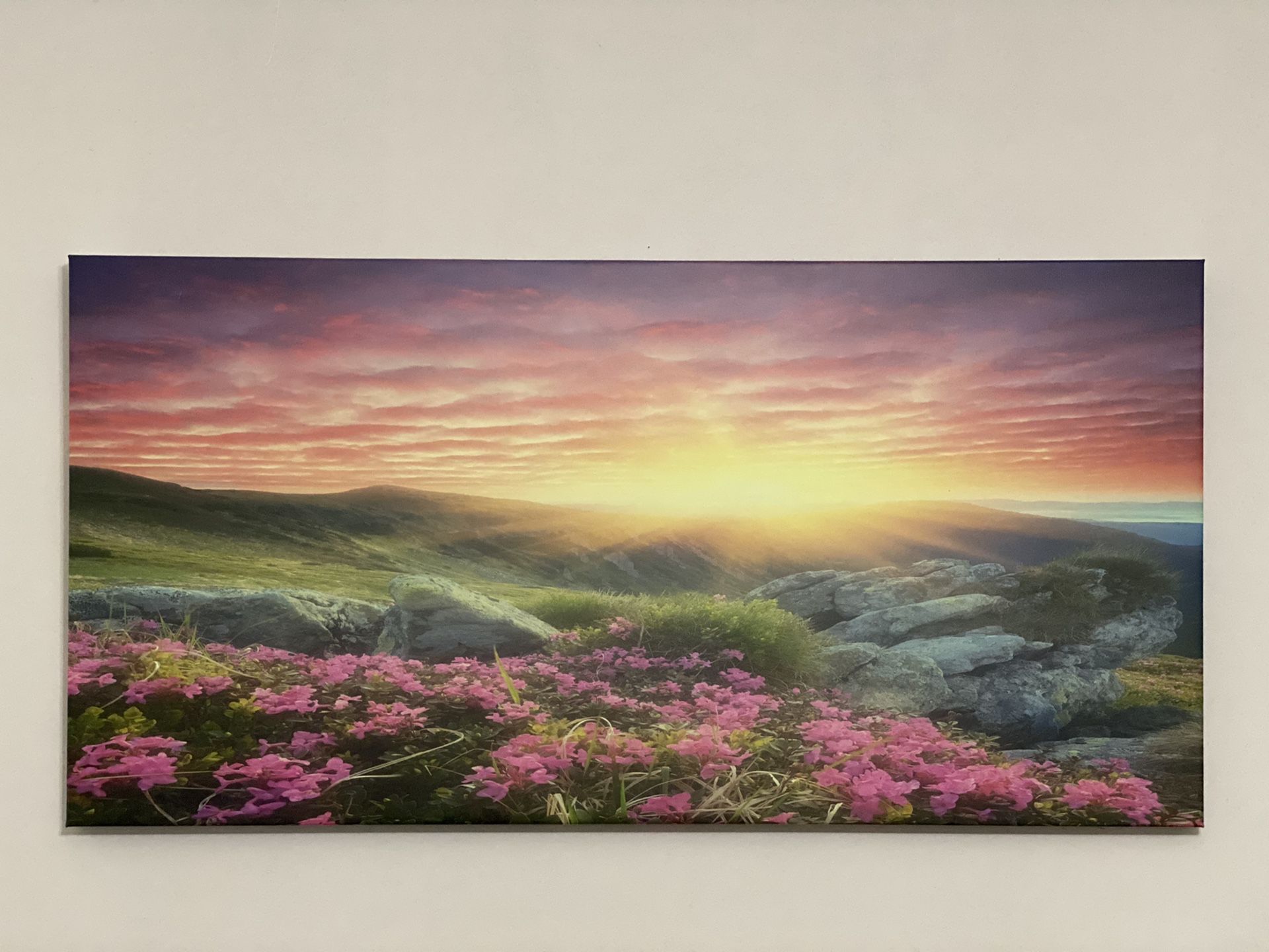 Canvas Wall Art (20” x 40”) $40 OBO