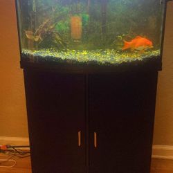 Fish Tank 40 Gallon 