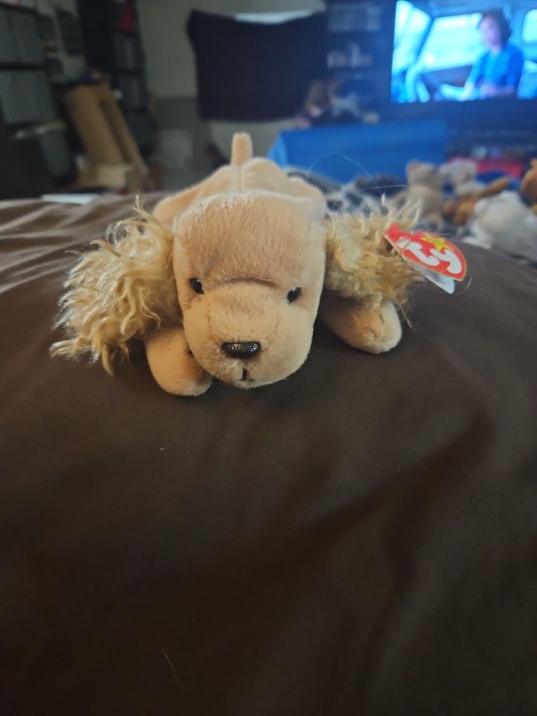 Beanie Babie ( Spunky)