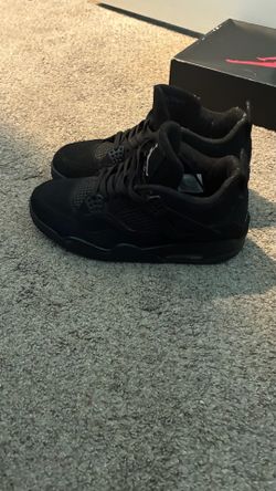 black cat 4e