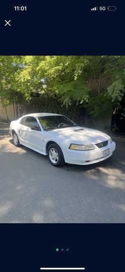 2000 Ford Mustang