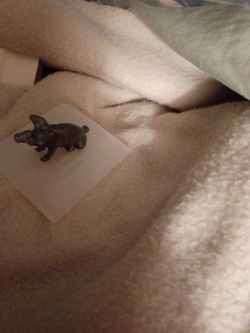 Small Bronze pig Figurine