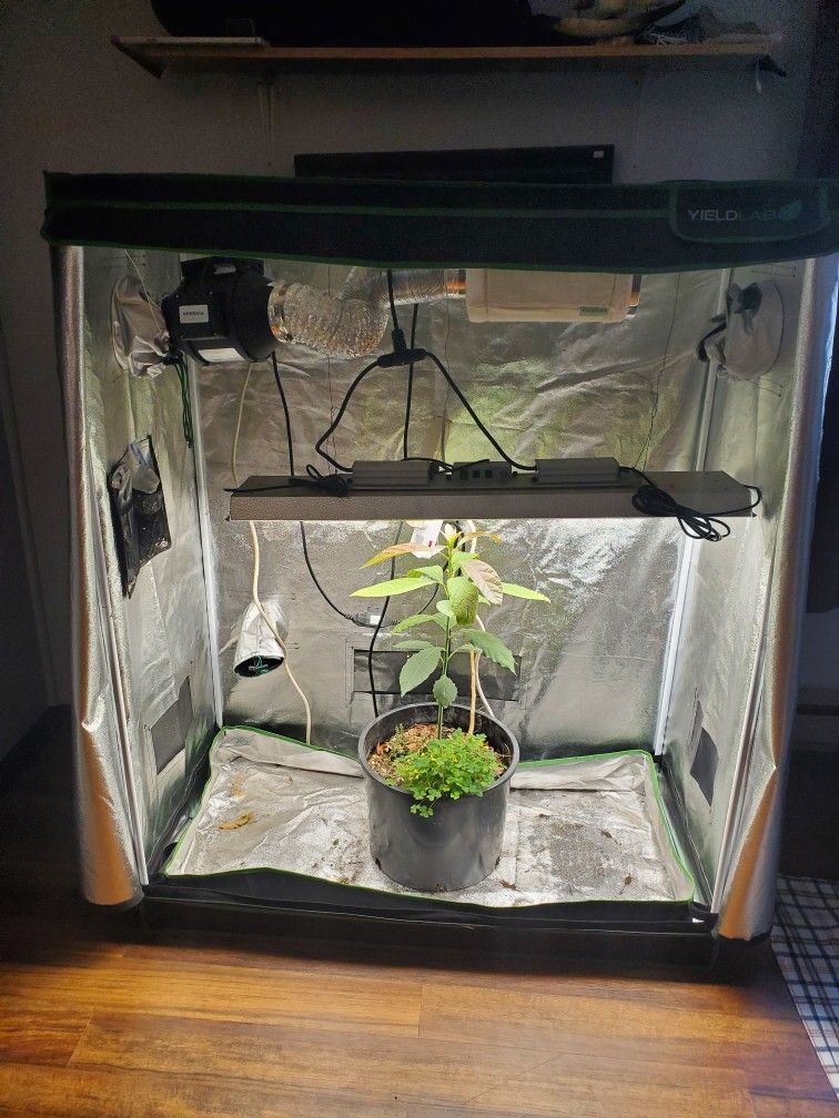 Grow Tent