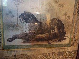 A family of Lions picture