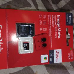 SanDisk 256 Gig Micro SD Card