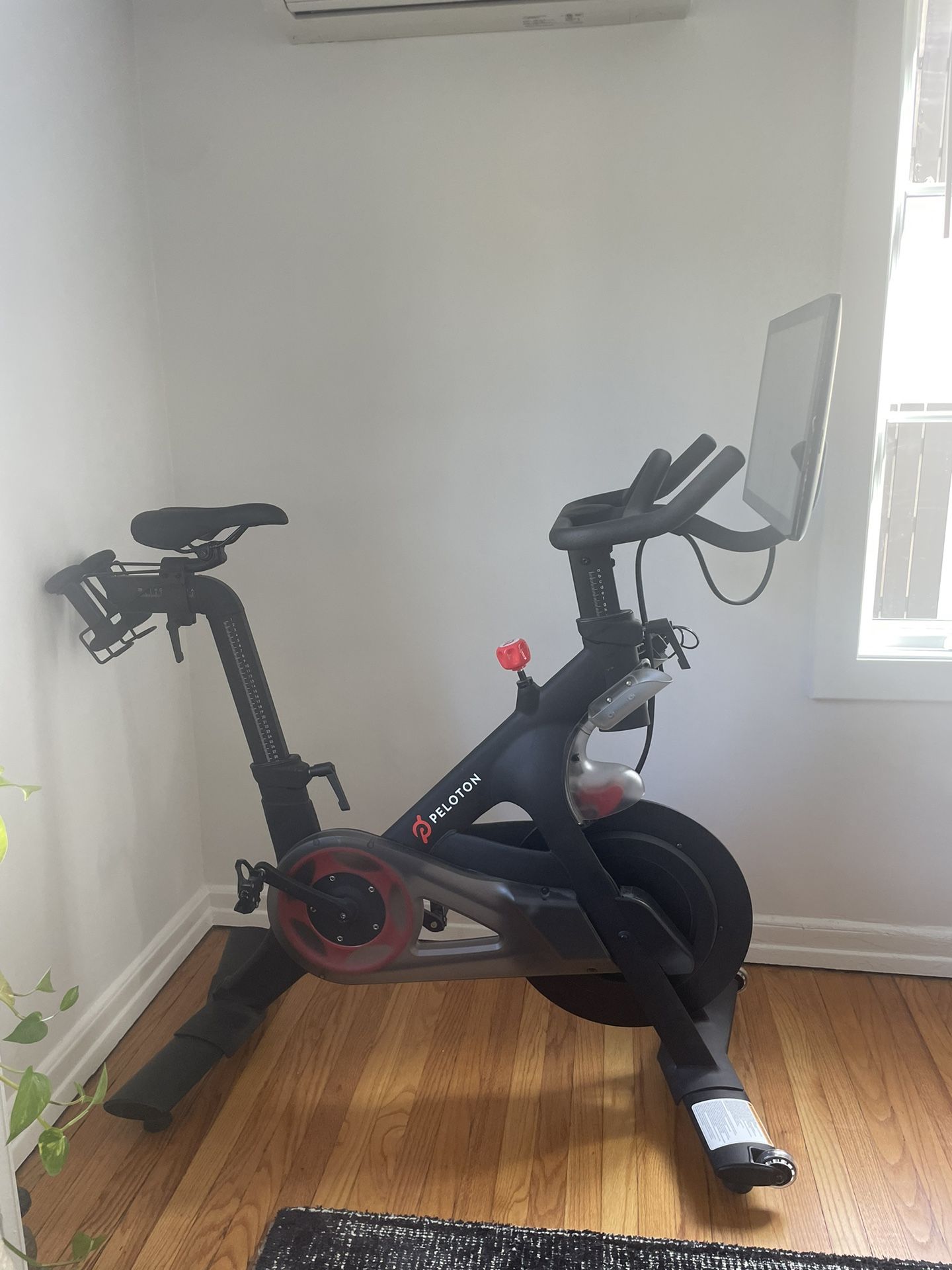 Peloton Bike (new edition)