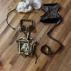 🕷Halloween costumes Pet