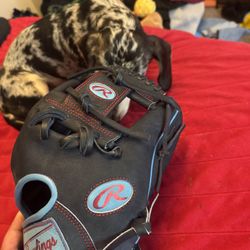 Rawlings 11.5 Inch Glove 