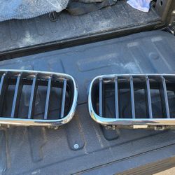 BMW X5 Grill