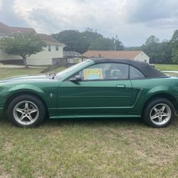 2000 Ford Mustang