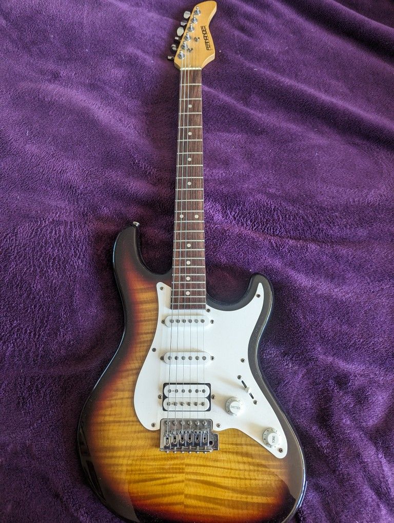 Fernandez Guitar