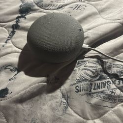 Google Home 