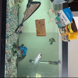 90 Gal Aquarium/ Fish/ Supplies 