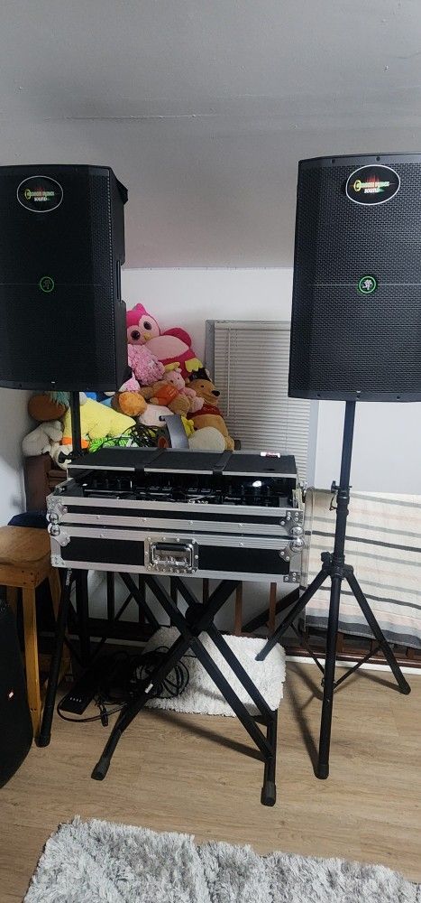 Dj System Everything U C In Pictures 