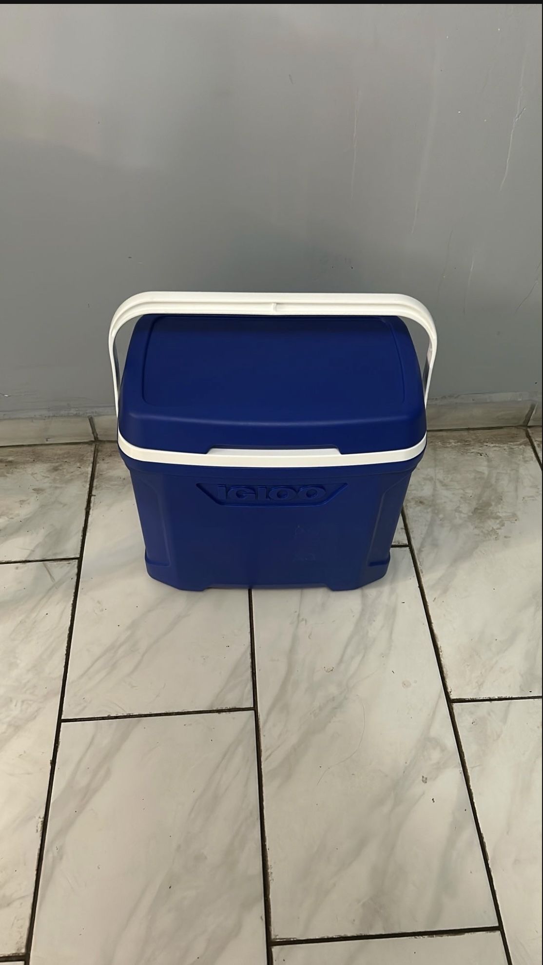 Igloo Cooler 