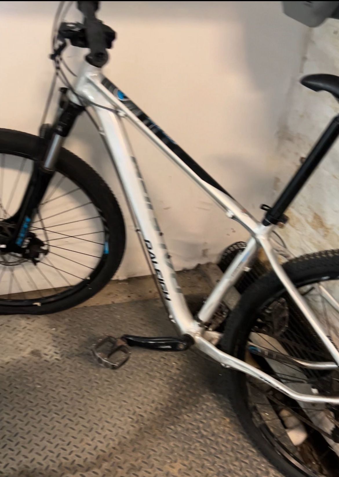Raleigh Talus 29’ Mountain Bike