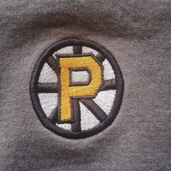 Champion Providence Bruins 1/4 Zip 