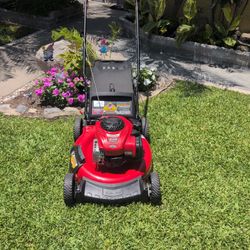Lawn Mower 