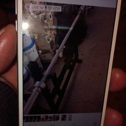 Olympic Bar And Bench 