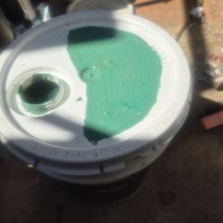 Pintura Nueva Color Verde Exterior Satin $95