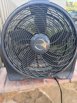 Fan