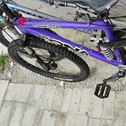 Kona Stinky -six Downhill Bike