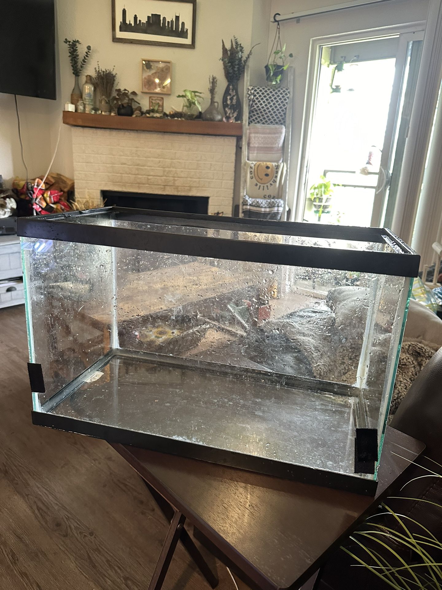 10 Gallon Fish Tank/aquarium