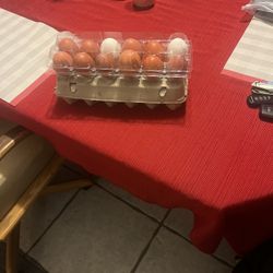 Farm Fresh Eggs 