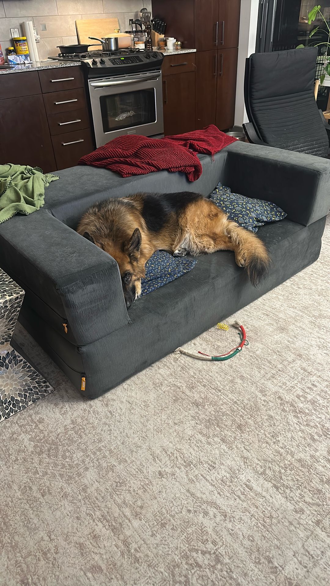 Free - Foldout Loveseat - Includes Two Ottomons That Fit Into Seat