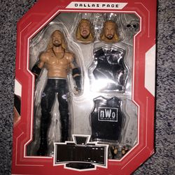 Diamond Dallas page ultimate edition