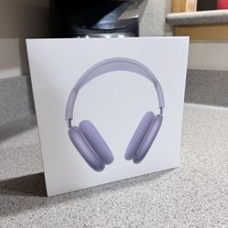 AIRPOD PRO HEADPHONES PURLE EDITION 