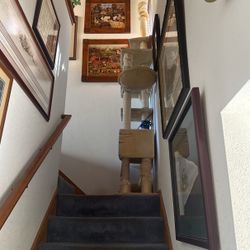 Cat Scratch Post