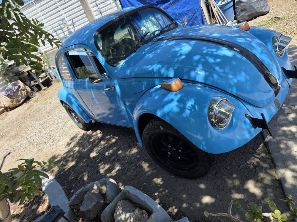 1970 Reliant Bug