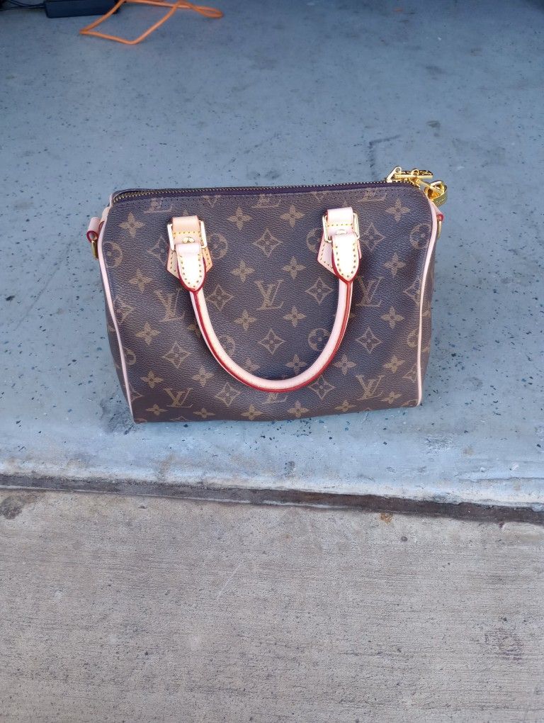Louis Vuitton Handbag