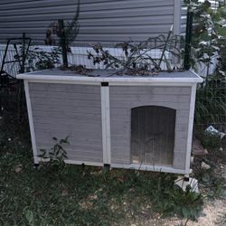 Dog House